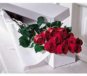 Premium Roses Boxed Photo of Premium Roses Boxed