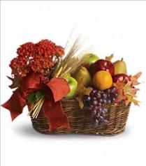 Fresh Picked Photo of Fresh Picked gift basket