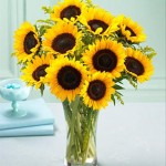 Order online now! Photo of a SUNflower Bouquet in a glass vase