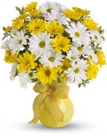 Buy online now! Photo of Daisies in a vase