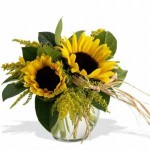 Order online now! Photo of Sassy Sunflowers in a glass vase