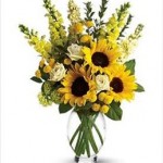 Buy online: Here Comes The Sun Flowers by Teleflora Here Comes The Sun Flowers by Teleflora
