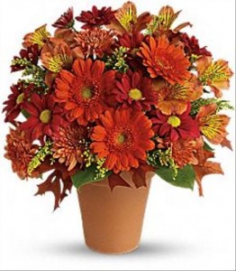 Golden Glow Orange spray roses and miniature gerberas