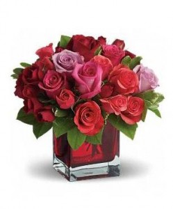 BF6462 - Madly in Love by Teleflora Madly in Love by Teleflora