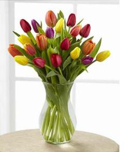 The FTD Bright Lights Tulip Vased The FTD Bright Lights Tulip Vased