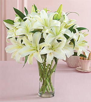 White Lily in a Vase