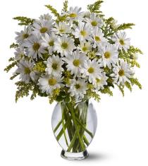Daisy Days with Vase