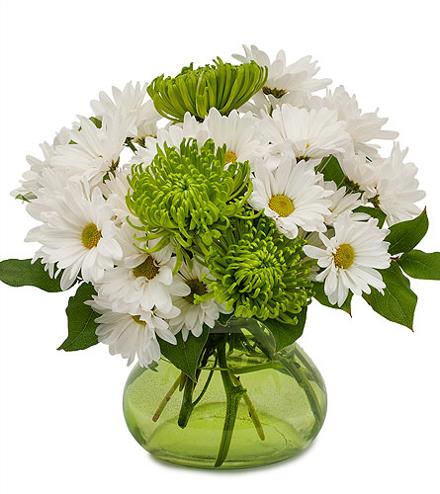 Top of the Morning in Vase