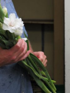 Brant_Trimming_Flowers