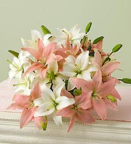 Asiatic Lilies | Unscented flowers | Brant Florist