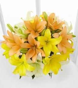 Asiatic lilies | Unscented flowers |Brant Florist