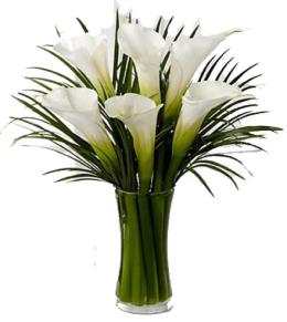Calla Lillies | Unscented flowers | Brant Florist