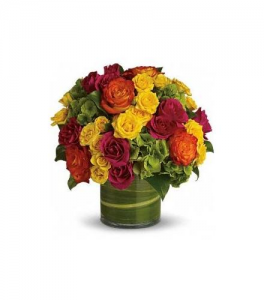 Aurora Red Flowers