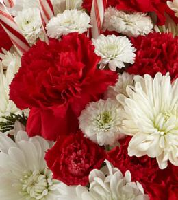 Christmas Flowers Budget - Florist Designed Red and White Bouquet - EO-6022X Photo of Florist Designed Red and White Bouquet - EO-6022X