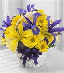 Send Spring Flowers Online - The FTD Spirit of Spring Basket - B25-4126 Photo of The FTD Spirit of Spring Basket - B25-4126