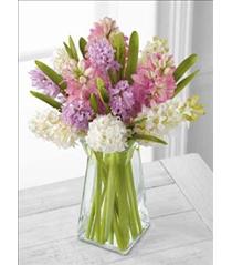 Vase Arrangements - Hyacinths Pure Perfection Bouquet FTD - B29-4869 Photo of Hyacinths Pure Perfection Bouquet FTD - B29-4869