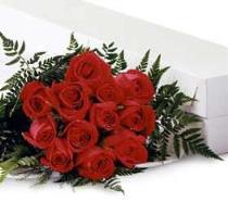 International Destinations - 12 Medium stem Roses Gift Wrapped - 12RM Photo of 12 Medium stem Roses Gift Wrapped - 12RM