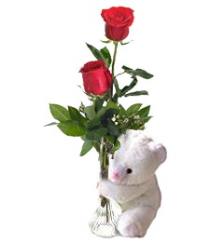 Yellow Roses - Two Roses and Teddy Bear - BF1130 Photo of Two Roses and Teddy Bear - BF1130