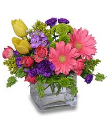 Send Spring Flowers Online - Confetti Floral Gift - FLSN507 Photo of Confetti Floral Gift - FLSN507