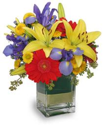 Send Birthday Balloons - Colors on Parade Flowers Today - FSN236 Photo of Colors on Parade Flowers Today - FSN236