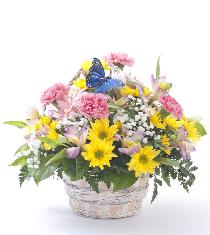 Wicker Basket Flowers - Cheery Flower Basket with Butterfly - BF1025LO Photo of Cheery Flower Basket with Butterfly - BF1025LO