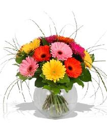Send Tulips Online - Tulips and Pine - T12Z114 Photo of Tulips and Pine - T12Z114