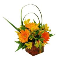 Fall Flowers and Plants - Flowers in Cube Vase - FALL Photo of Flowers in Cube Vase - FALL