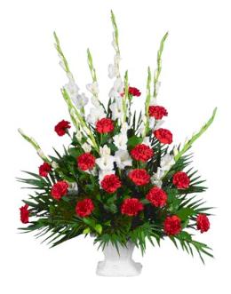Traditional Funeral Tributes - Gladioli or Snaps Carnation Tribute - YY11 Photo of Gladioli or Snaps Carnation Tribute - YY11