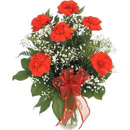 Valentines Gifts Men - Carnations with Babys Breath Vased - D110 Photo of Carnations with Babys Breath Vased - D110