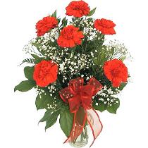 Order Flowers in Vase - Carnations with Babys Breath Vased - D110 Photo of Carnations with Babys Breath Vased - D110