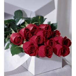 Valentines Day Flowers - Premium Quality Roses Boxed or Gift Wrapped - D2-0012 Photo of Premium Quality Roses Boxed or Gift Wrapped - D2-0012