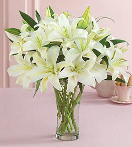 Christmas Corporate Gifts - White Lily Vase - FFL1 Photo of White Lily Vase - FFL1