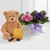 FTD Mother's Day Flowers - Violet Views Blooming Basket - P795 Photo of Violet Views Blooming Basket - P795