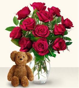 Valentines Day Flowers - 12, 18 or 24 Roses Vased & Teddy Bear - EO-82DB Photo of 12, 18 or 24 Roses Vased & Teddy Bear - EO-82DB
