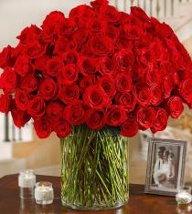Roses Fresh Roses - Breathless 100 Red Roses in Bowl - RP84 Photo of Breathless 100 Red Roses in Bowl - RP84