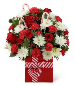 Christmas Flowers Budget - Holiday Cheer™ Bouquet FTD C2 - 14-C2 Photo of Holiday Cheer™ Bouquet FTD C2 - 14-C2