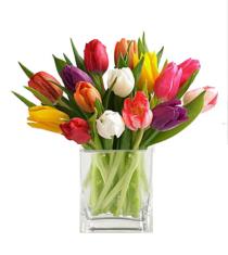 Send Tulips Online - Mixed Tulips With Cube Vase - FU18 Photo of Mixed Tulips With Cube Vase - FU18
