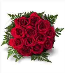 Independence Day July4th - 12 Roses Wrapped - FF2 Photo of 12 Roses Wrapped - FF2