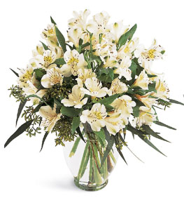 Sympathy Flower Delivery - Elegant Alstroemeria Vased - B1-3700 Photo of Elegant Alstroemeria Vased - B1-3700