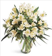 Summer Flowers - Elegant Alstroemeria Vased - B1-3700 Photo of Elegant Alstroemeria Vased - B1-3700