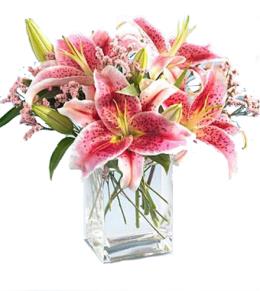 Valentines Day Flowers - Pink Star Gazer Lily Vase by FTD - B1-3701 Photo of Pink Star Gazer Lily Vase by FTD - B1-3701