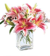Deliver Flowers - Star Gazer Lily Vase - B1-3701 Photo of Star Gazer Lily Vase - B1-3701