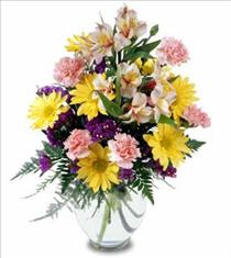 Deliver Flowers - Best Wishes Flowers in Vase - C6-3067 Photo of Best Wishes Flowers in Vase - C6-3067