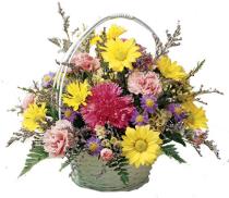 Deliver Flowers - Abundance of Beauty FTD - C11-3435 Photo of Abundance of Beauty FTD - C11-3435