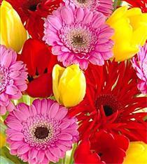 Fresh Cut Flower Bouquets - Florist Designed Spring Flowers - EO6026 Photo of Florist Designed Spring Flowers - EO6026
