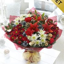 International Destinations - Christmas Cracker Hand-tied with chocolates - 500300 Photo of Christmas Cracker Hand-tied with chocolates - 500300