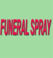 International Destinations - Florist Designed Funeral Spray - FLA Photo of Florist Designed Funeral Spray - FLA