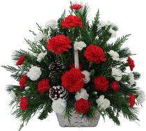 Sympathy Flowers - Red and White Carnation Basket - CUSTOM Photo of Red and White Carnation Basket - CUSTOM