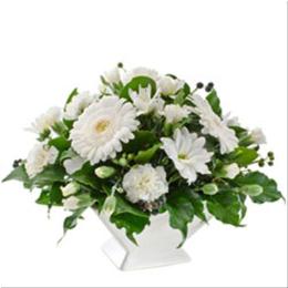 Sympathy Flower Delivery - Arrangement in Ceramic Container Suitable for Home - AUS389 Photo of Arrangement in Ceramic Container Suitable for Home - AUS389