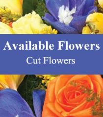 Flower Arrangements for Easter - Florist Choice Cut Flowers with Blue - BF3532 Photo of Florist Choice Cut Flowers with Blue - BF3532